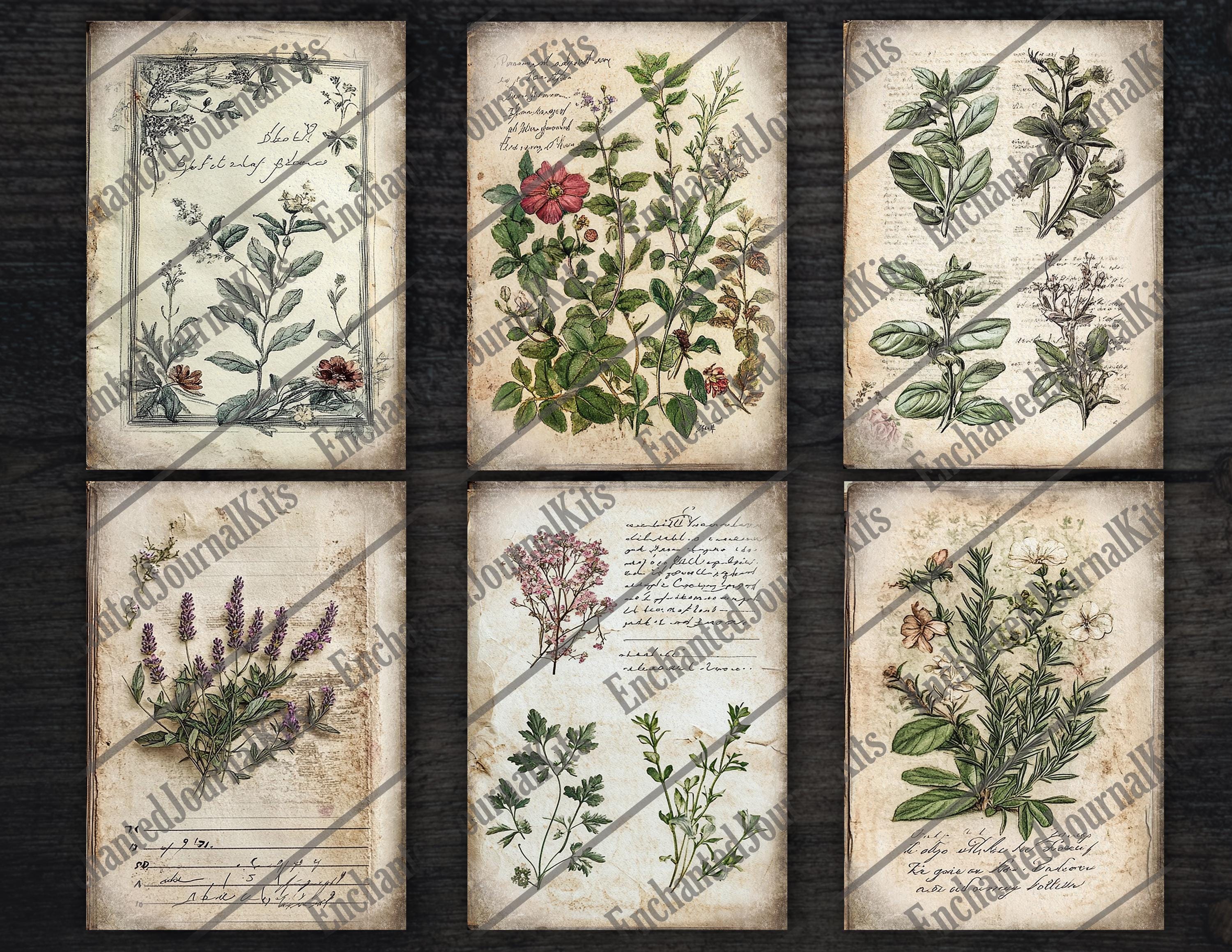 Botanical Junk Journal Ephemera Herbs Printable Cards Addon Garden ...