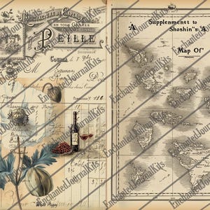 May include: A vintage illustration of a white poppy flower with green leaves and a map of islands with the text "Supplement to Shoshin's "A" Map Of".