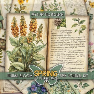 Papiers imprimables herbes botaniques printemps floral indésirable journal papier apothicaire imprimé Wildlower prairie numérique printemps herbes du jardin scrapbooking