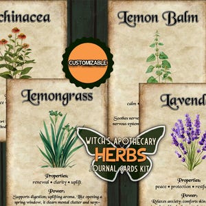 May include: A collection of vintage-style journal cards featuring illustrations of herbs: Echinacea, Lemon Balm, Lemongrass, and Lavender. The cards have text describing the properties and power of each herb. A butterfly-shaped logo reads "Witch's Apothecary Herbs Journal Cards Kit."