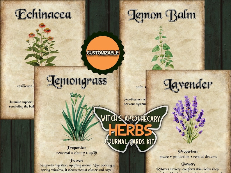 May include: A collection of vintage-style journal cards featuring illustrations of herbs: Echinacea, Lemon Balm, Lemongrass, and Lavender. The cards have text describing the properties and power of each herb. A butterfly-shaped logo reads "Witch's Apothecary Herbs Journal Cards Kit."
