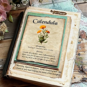 May include: A vintage-style journal with the word "Calendula" on the cover, featuring an illustration of orange flowers. The journal includes text about the properties and power of calendula, with a distressed paper aesthetic.