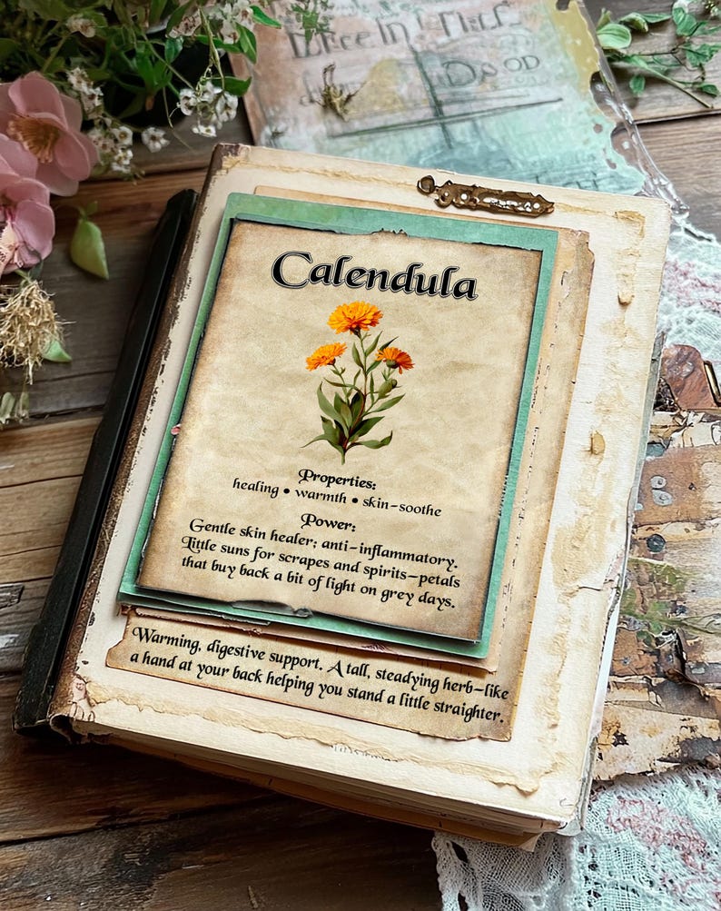May include: A vintage-style journal with the word "Calendula" on the cover, featuring an illustration of orange flowers. The journal includes text about the properties and power of calendula, with a distressed paper aesthetic.