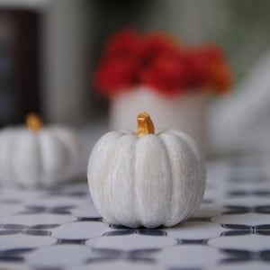 May include: Two white pumpkins with gold stems on a black and white tiled surface. The pumpkins are small and decorative.