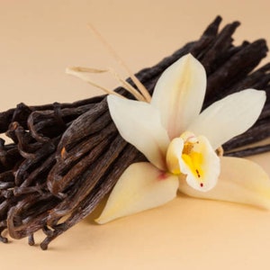 25 Indonesian vanilla pods 13-15cm premium quality (free delivery)