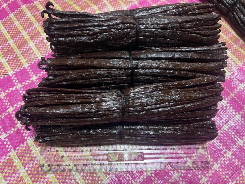 30 Madagascar vanilla pods 10-12cm premium quality free delivery image 1