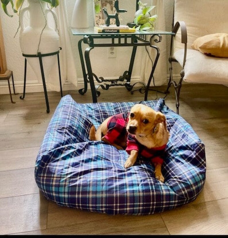 A Manual for Interesting and Polished dog beds