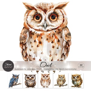 Watercolor Owl Clipart: Boho Forest Animal Art, Nursery Decor (32 JPG, Commercial Use)