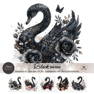 Elegante zwarte zwaan clipartset | Gotische aquarel zwaankunst | Bloemen donker esthetische zwaan, png | DIY-knutsels en plakboeken | Digitale download
