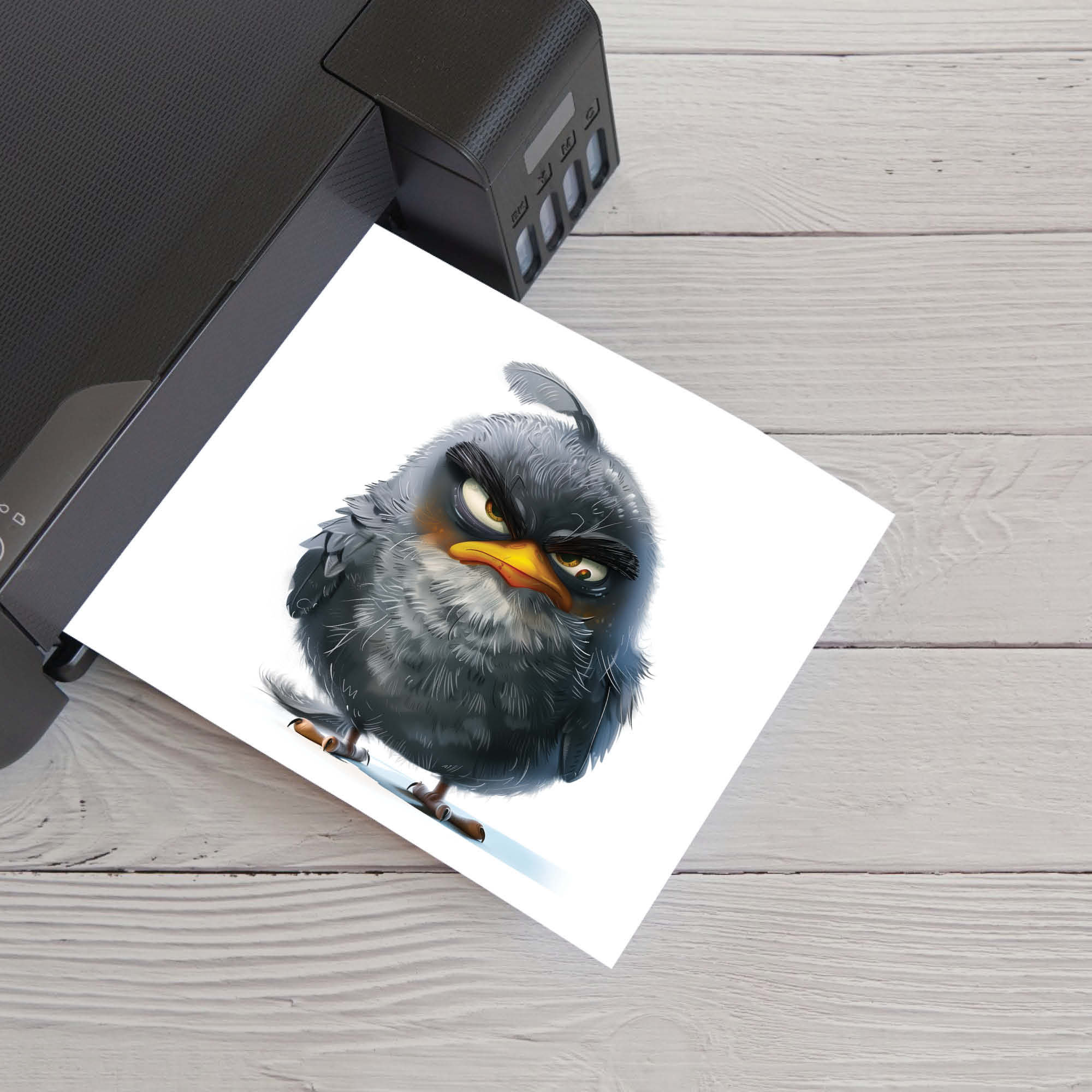 32 Grumpy Bird Watercolor CLIPART JPG for Art and Craft, Digital Paper ...