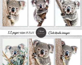 Láminas infantiles de koalas, ilustración de animales australianos (descarga de 8,5 x 11 pulgadas)