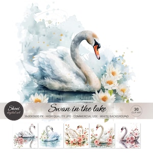 30 Blumen Schwan im See Aquarell Clipart JPG - künstlerische digitale Bilder für Handwerksprojekte - sofortiger Download