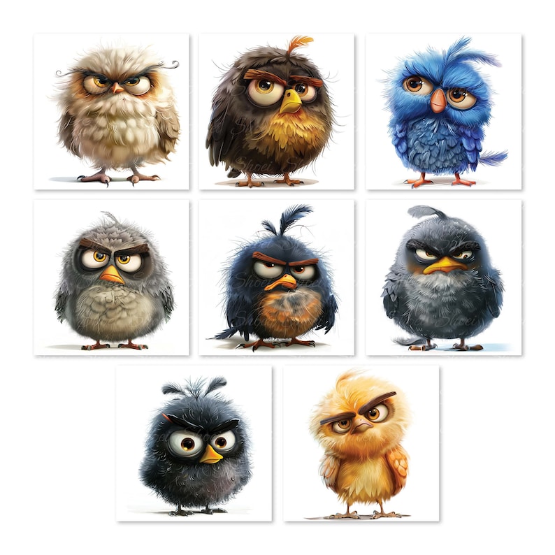 32 Grumpy Bird Watercolor CLIPART JPG for Art and Craft, Digital Paper ...