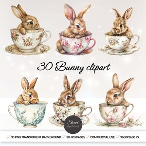 30 acquerello coniglietto coniglio Tea Party Clipart PNG - Illustrazioni stravaganti per lavori di carta, pianificatore digitale, album di ritagli, creazione di biglietti