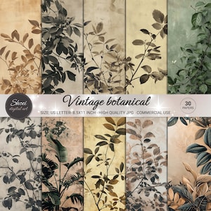 Vintage Botanical Digital Papers - 30 Classic Plant Designs, Scrapbooking Backgrounds, Printable 8.5x11, Nature Crafting JPG