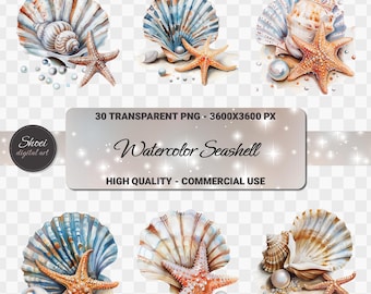 Clipart de conchas de acuarela: elementos de playa oceánica (descarga digital PNG)