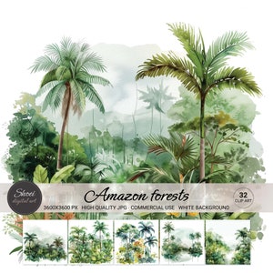 May include: A digital illustration of a lush green Amazon rainforest with tall palm trees and a white background. The image is labelled "Amazon forests" and includes the text "3600X3600 PX HIGH QUALITY JPG COMMERCIAL USE WHITE BACKGROUND".