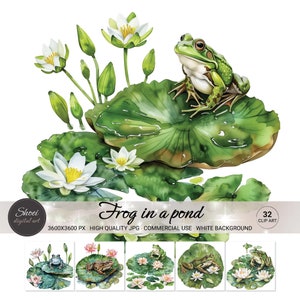 Lebendige Frosch im Teich Clipart - ideal für Lernprojekte, umweltfreundliche Kunst, sofortiger Download, hochwertiges Aquarelldesign