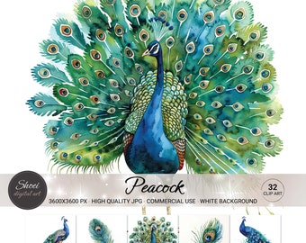 Watercolor Peacock Clipart Bundle: Elegant Bird Art, Feathers (32 JPGs, Commercial Use)
