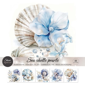 32 zeeschelpen parels clipart - digitale aquarelafbeeldingen voor plakboek, kaarten, mixed media - afdrukbare jpg-bestanden - clipartbundel