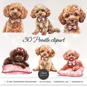 Conjunto de clipart de poodle toy aquarela caprichoso e cachorros fofos - planejador digital, álbum de recortes, criação de cartões, colagem - 30 imagens PNG para artesanato