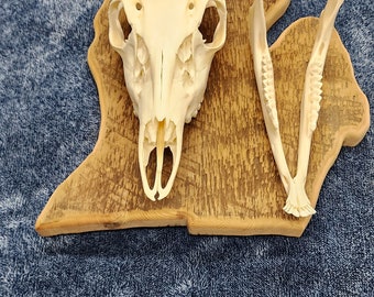 Barn Wood Euro Plaques (Variety)