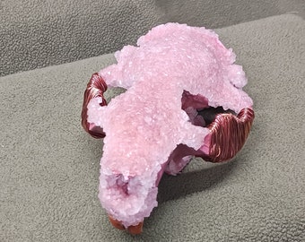 Crystallized Beaver Skull with Copper wrap