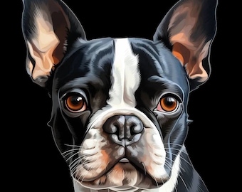 Fichier PNG numérique Boston Terrier | Illustration de chien |Boston Terrier Clip Art | Graphi pour les amoureux des animaux de compagnie