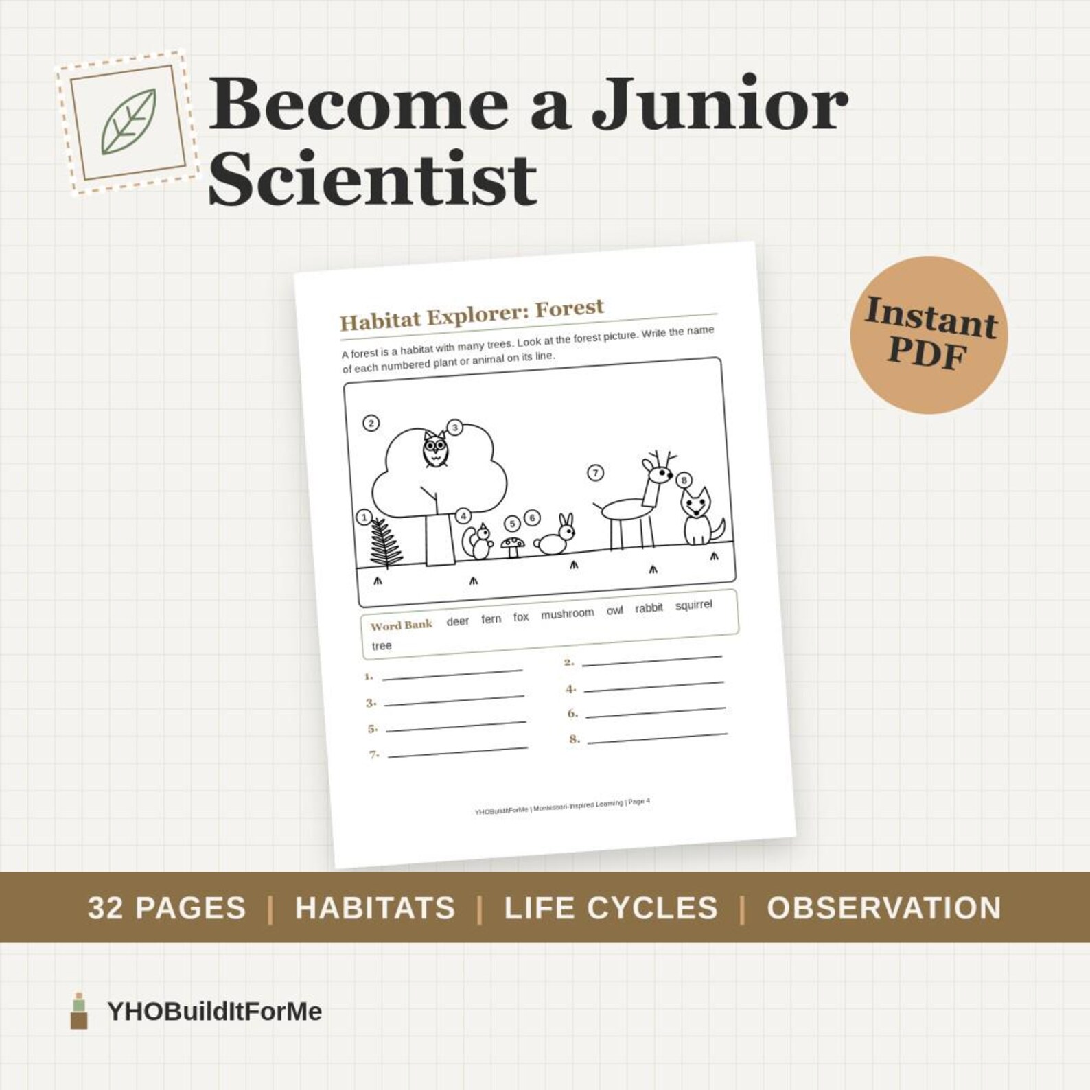 Science Pages for Kids: Observe First, Explain Later