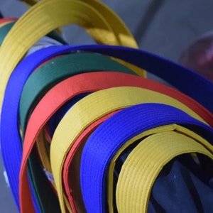 May include: A collection of martial arts belts in various colors, including white, yellow, green, red, blue, and black. The belts are rolled up and stacked on top of each other.