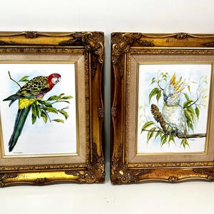 May include: Two framed bird paintings. One shows a colourful parrot with red, yellow, and green plumage on a leafy branch. The other depicts a white cockatoo with a yellow crest. Both are in ornate gold frames.