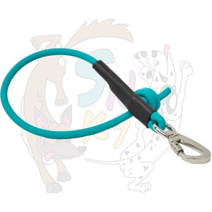 Puede incluir: Una correa para perro de color azul turquesa con un mango negro y un clip plateado.