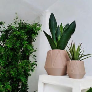 May include: Two potted plants in geometric, light brown planters. The larger planter has a snake plant with dark green leaves. The smaller planter has a succulent with light green leaves.