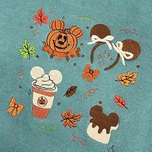 Disney Fall Coquette Embroidered Sweatshirt
