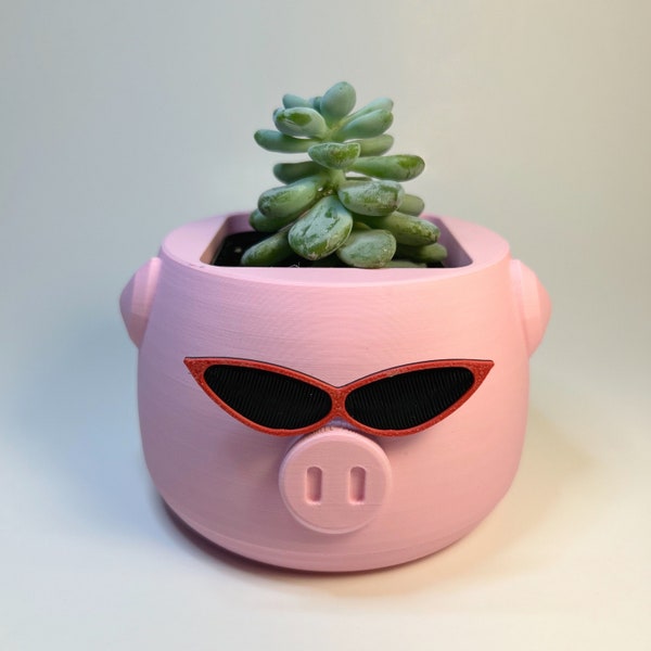 Cute Pig Drip Tray Planter, Succulent Planter, Plant Lover Gift Ideas, Cute Office Planter, Plant Momma Gift, Table Top Planter, Kawaii