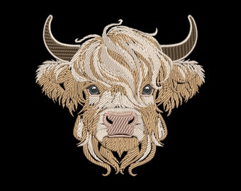 May include: A close-up of a Highland cow's face. The cow has long, shaggy, light brown and white fur. The cow's eyes are dark brown and its nose is pink.