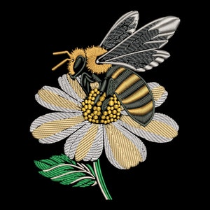 Könnte beinhalten: Eine gelbe und schwarze Biene mit braunen, flauschigen Haaren sitzt auf einer weißen und gelben Margerite mit grünen Blättern. Die Biene hat schwarze und gelbe Streifen am Hinterleib und ihre Flügel sind grau.