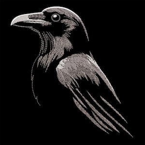 Może przedstawiać: Czarno-biały rysunek kruka z głową zwróconą w bok. Pióra kruka są szczegółowo przedstawione za pomocą cienkich linii.