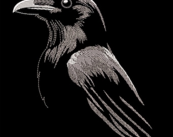 May include: A black and white line drawing of a raven with its head turned to the side. The raven's feathers are detailed with fine lines.