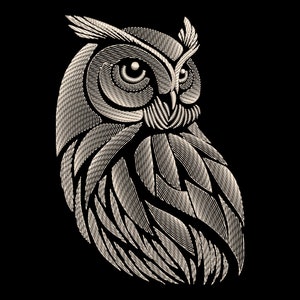 Op de afbeelding: Een gedetailleerde lijntekening van een uil met een witte omtrek op een zwarte achtergrond. De ogen van de uil zijn groot en rond, en zijn veren zijn afgebeeld met ingewikkelde lijnen.