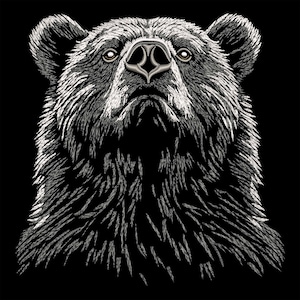 Peut inclure: Une image brodée en noir et blanc d'un visage d'ours regardant vers le haut.