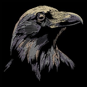 May include: A detailed black and white line drawing of a raven's head and neck. The raven's eye is visible and the beak is open slightly.