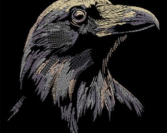 May include: A detailed black and white line drawing of a raven's head and neck. The raven's eye is visible and the beak is open slightly.