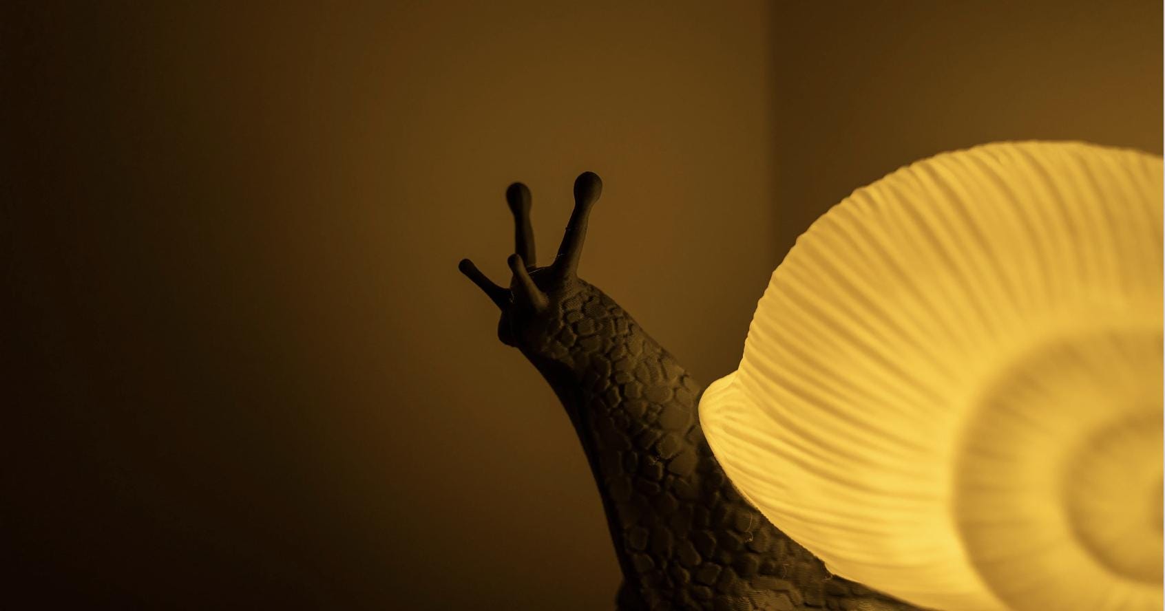 Bright Snail Lamp, 3d Snail Lamp, Desk Decoration, Office decoration, Custom Lamp, Snail Light, Cottagecore Lamp