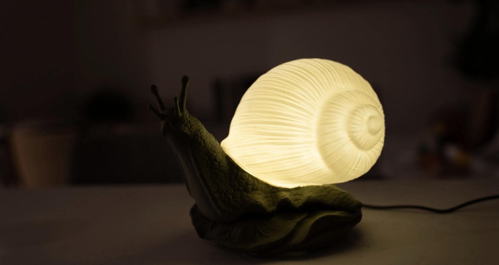 Bright Snail Lamp, 3d Snail Lamp, Desk Decoration, Office decoration, Custom Lamp, Snail Light, Cottagecore Lamp