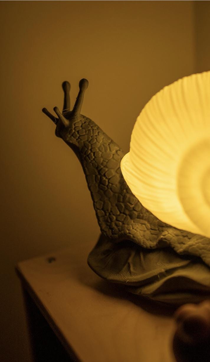 Bright Snail Lamp, 3d Snail Lamp, Desk Decoration, Office decoration, Custom Lamp, Snail Light, Cottagecore Lamp