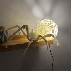 Bright Spider Lamp, 3d Spider Lamp, Desk Decoration, Office decoration, Custom Lamp, Snail Light, Cottagecore Lamp