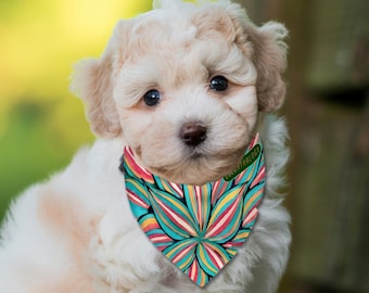 Double-Sided Pet Bandana: Green Radiance Design. Adjustable Buckle Dog Collar or Leash. Artist-Designed Collar for Dogs & Large Cats