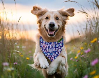 Double-Sided Pet Bandana: Fireworks Flower Design. Adjustable Buckle Dog Collar or Leash. Artist-Designed Collar for Dogs & Large Cats