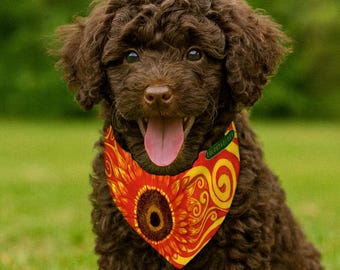 Double-Sided Pet Bandana: Sunflower Design. Adjustable Buckle Dog Collar or Leash. Artist-Designed Collar for Dogs & Large Cats